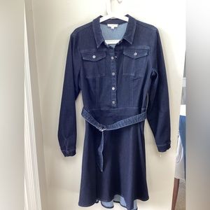 a loves a denim dress, size Large, navy blue